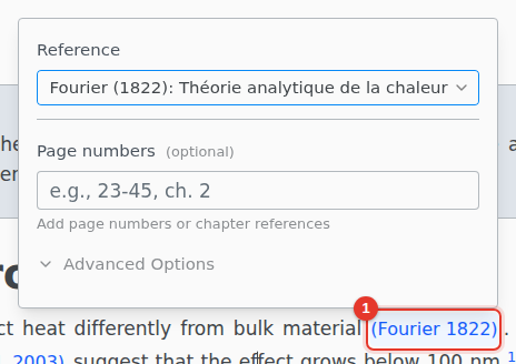 A citation and its panel: the cited work, page numbers and Advanced Options