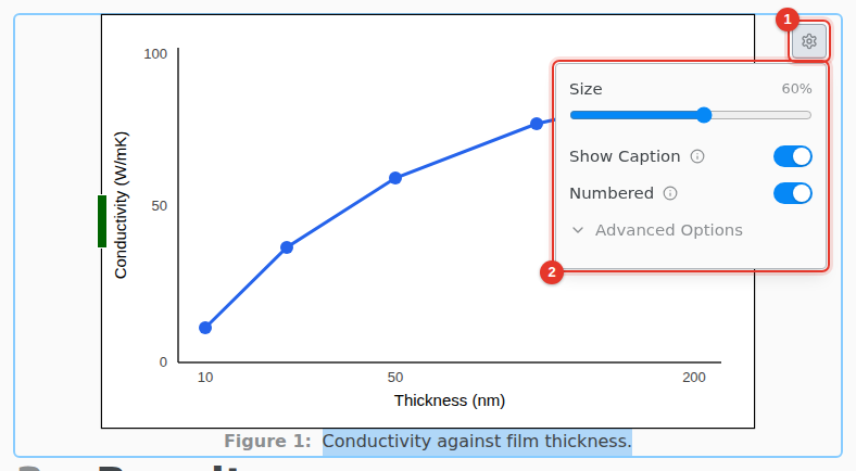 A figure with its settings open: Size, Show Caption and Numbered