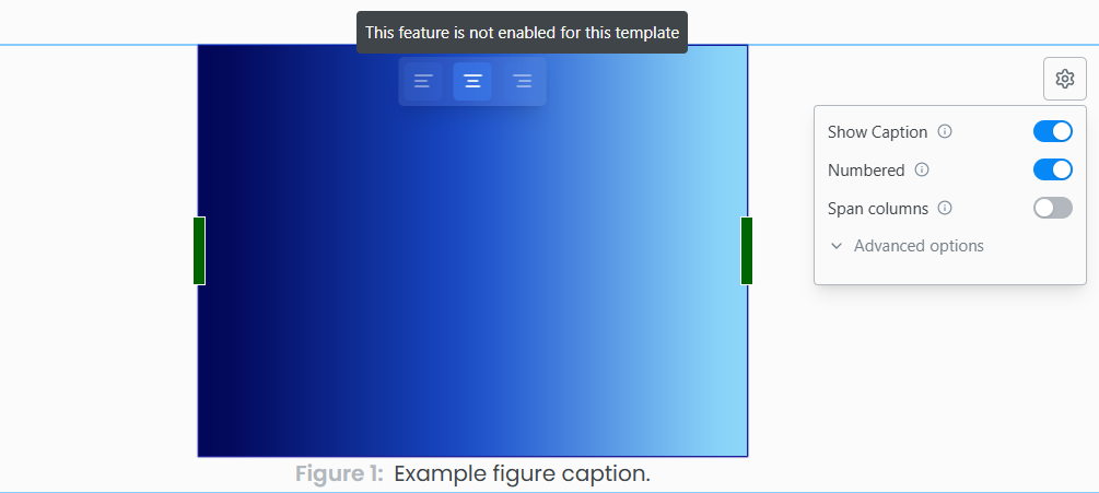 Column Span Image Settings