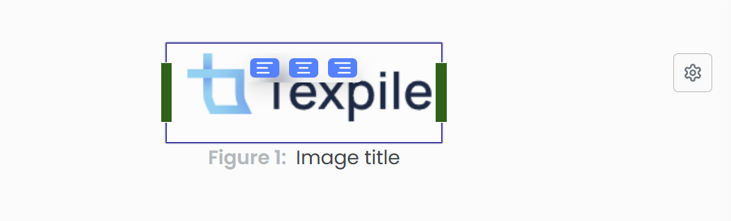 Image Resizing Controls